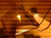 04062012047.jpg