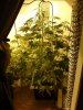04062012062.jpg