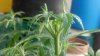 2012-06-14_19-35-23_700.jpg