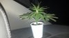 2012-06-14_20-43-59_740.jpg