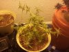 20120808_174632.jpg