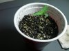 IMG_20120801_015430.jpg