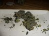 GDP buds.jpg