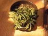 IMG_20120712_231726.jpg