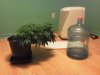 IMG_20120810_164856.jpg