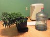 IMG_20120810_164915.jpg
