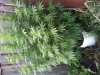 20120811_084104.jpg