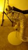 DSC00136 (720x1280).jpg