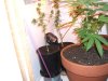 DSCF2677.JPG