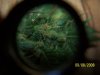 trichs 1.jpg