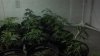 2012-08-12_16-11-14_300.jpg