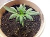 20120813_102504.jpg