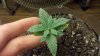 2012-08-13_13-31-26_554.jpg