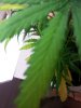 20120814_015405.jpg 20120814_015405.jpg