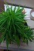 20120814_015244.jpg