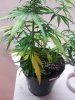 20120814_015239.jpg 20120814_015239.jpg