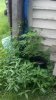 2012-08-14_11-29-43_277.jpg