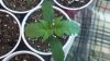 2012-08-14_11-50-51_213.jpg
