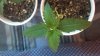 2012-08-14_11-51-22_796.jpg