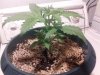 IMG_20120815_024835.jpg