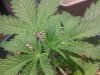 IMG_20120815_024827.jpg