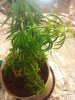 20120815_205600.jpg 20120815_205600.jpg