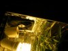 DSCF3102 1.jpg