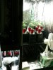 One tent full set up.JPG