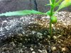 IMG_20120816_003157.jpg