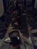 IMG_20120816_063406.jpg