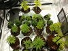 20120813_112249.jpg