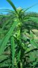 2012-08-19_09-27-24_449.jpg
