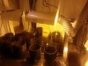 20120819_202524.jpg