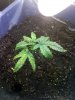 downsized_0819022243.jpg