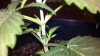 2012-08-20_12-10-57_613.jpg