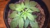2012-08-20_12-11-13_789.jpg