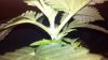 2012-08-20_12-13-15_165.jpg