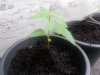 20120820_183929.jpg