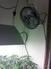 IMG_20120820_213633.jpg