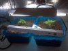 2012-08-20_22-18-50_768.jpg