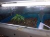 2012-08-20_22-18-42_596.jpg