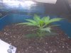 2012-08-20_22-18-36_442.jpg