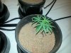 20120823_150410.jpg 20120823_150410.jpg