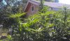 IMAG0107.jpg IMAG0107.jpg