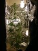 DSCF1002.jpg