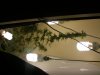 DSCF1019.jpg