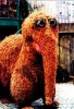 snuffleupagus.jpg