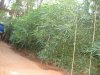 fosters home 060.jpg