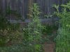 first grow 179.jpg