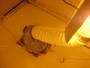 Picture 024.jpg